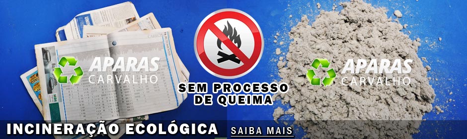 Incineração ecológica